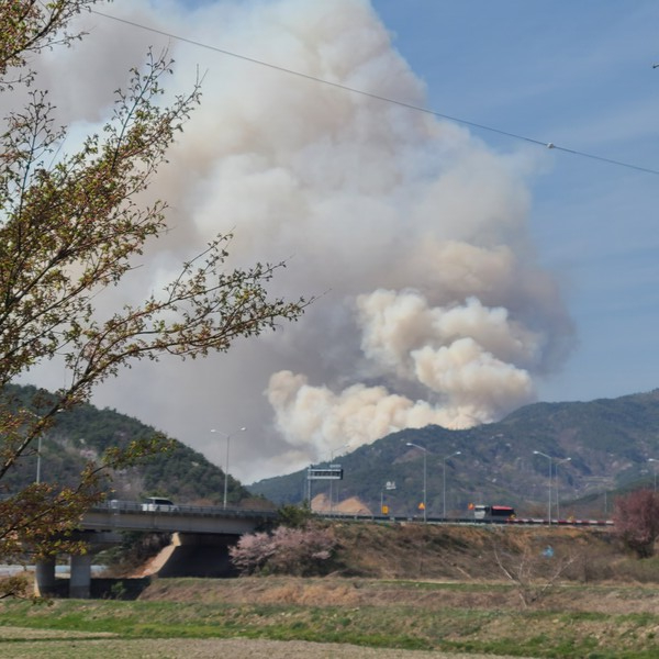 3일 오후 1시 2분 경 송광면 봉산리 산 179-3번지에서 산불이 발생했다.
